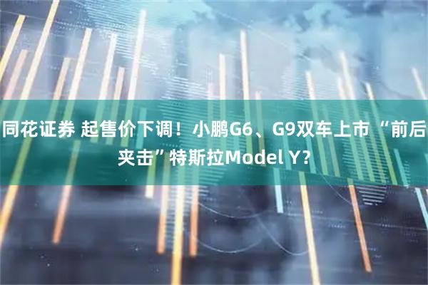 同花证券 起售价下调！小鹏G6、G9双车上市 “前后夹击”特斯拉Model Y？