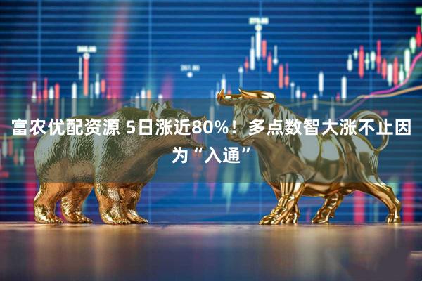 富农优配资源 5日涨近80%！多点数智大涨不止因为“入通”