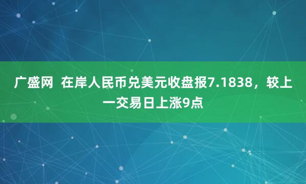 广盛网  在岸人民币兑美元收盘报7.1838，较上一交易日上涨9点