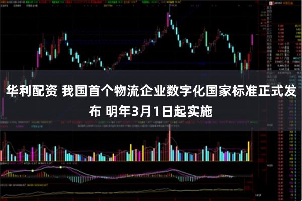 华利配资 我国首个物流企业数字化国家标准正式发布 明年3月1日起实施