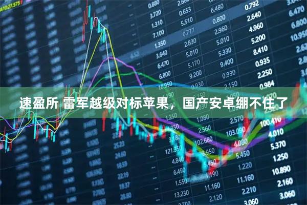速盈所 雷军越级对标苹果，国产安卓绷不住了