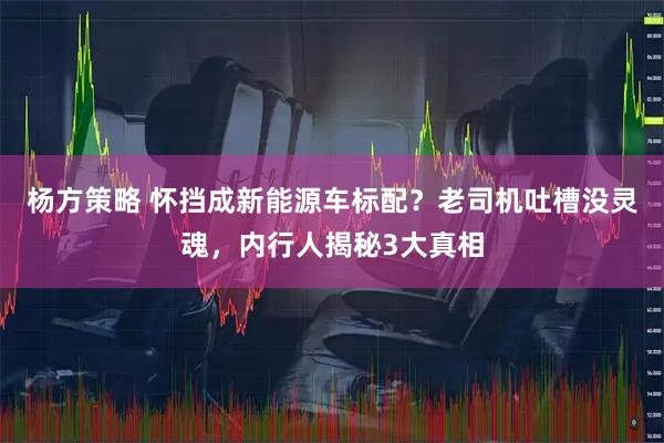 杨方策略 怀挡成新能源车标配？老司机吐槽没灵魂，内行人揭秘3大真相