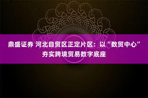 鼎盛证券 河北自贸区正定片区：以“数贸中心”夯实跨境贸易数字底座